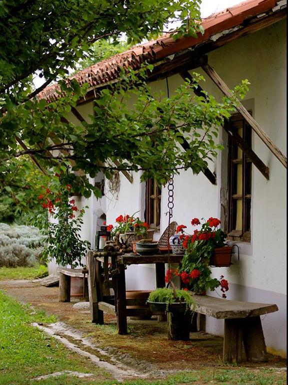 Agriturismo Viridarium Castellucchio Εξωτερικό φωτογραφία